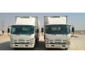 isuzu-refrigerated-truck-available-for-rental-10-nos-small-0